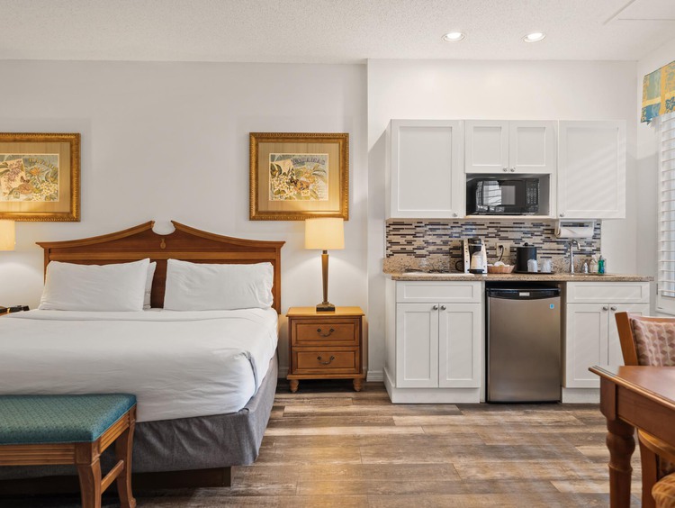 1 King Premium room